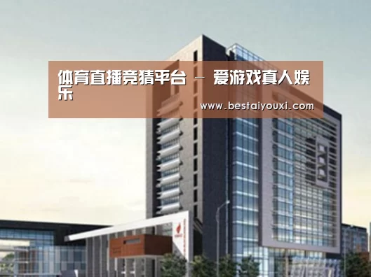 爱游戏直播案例展示四