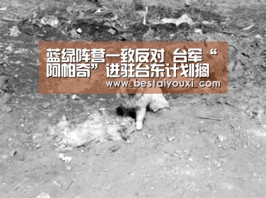 爱游戏官网