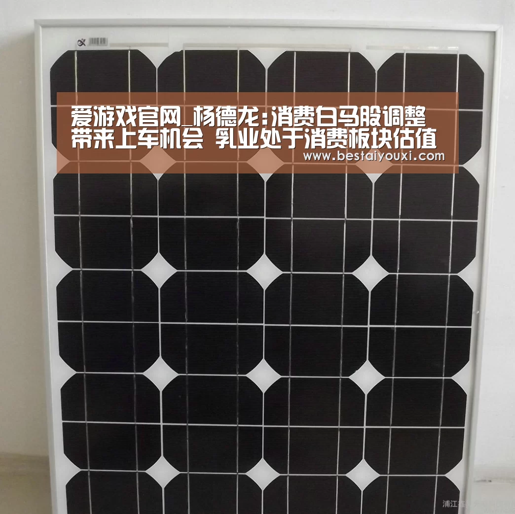 爱游戏官网_杨德龙:消费白马股调整带来上车机会 乳业处于消费板块估值洼地(图2) 爱游戏娱乐