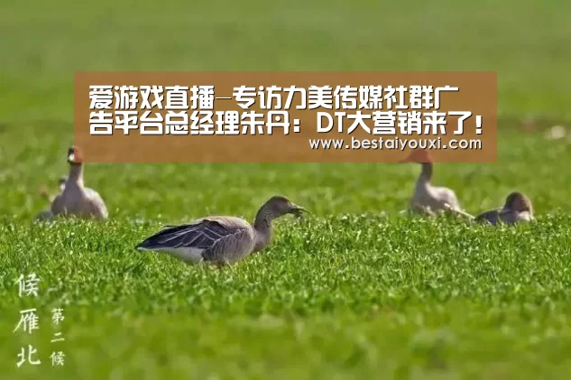 爱游戏百家乐