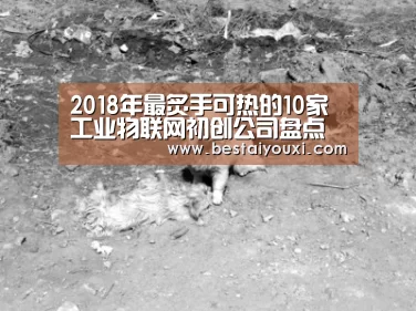 爱游戏官网