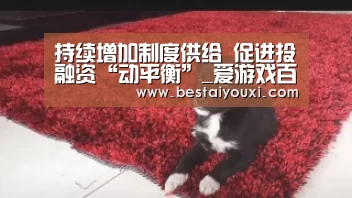 持续增加制度供给 促进投融资“动平衡”_爱游戏百家乐(图1) 爱游戏官网